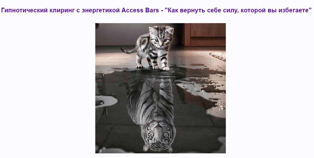 [Access] Гипнотический клиринг с энергетикой Access Bars.jpeg