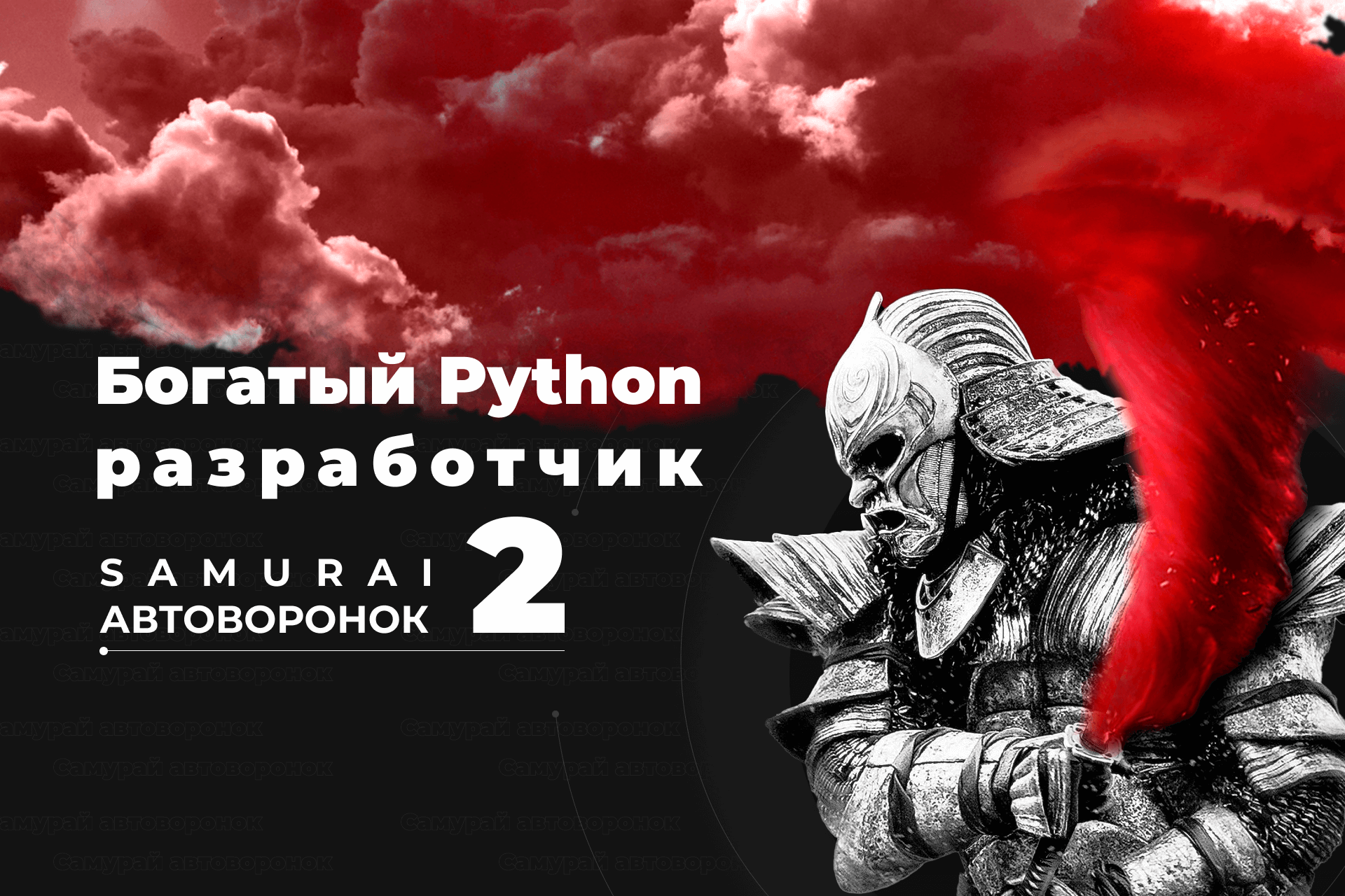 Богатый Python разработчик 2 Самурай автоворонок.png