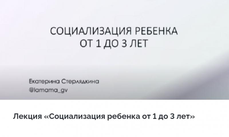 [LaMama] Социализация ребенка от 1 до 3 лет (Екатерина Стерлядкина).jpeg