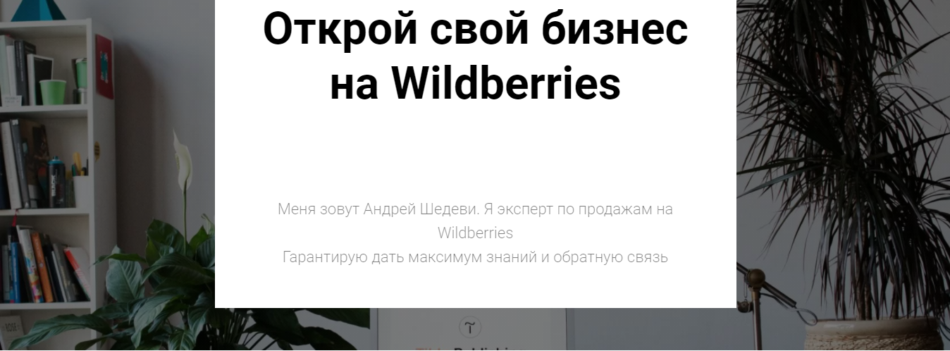 Открой свой бизнес на Wildberries [Андрей Шедеви].png