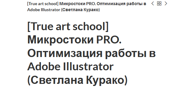 [True art school] Микростоки PRO. Оптимизация работы в Adobe Illustrator (Светлана Курако).png