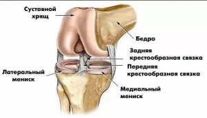 Уверенная диагностика и правильная терапия. Коленный сустав.jpg